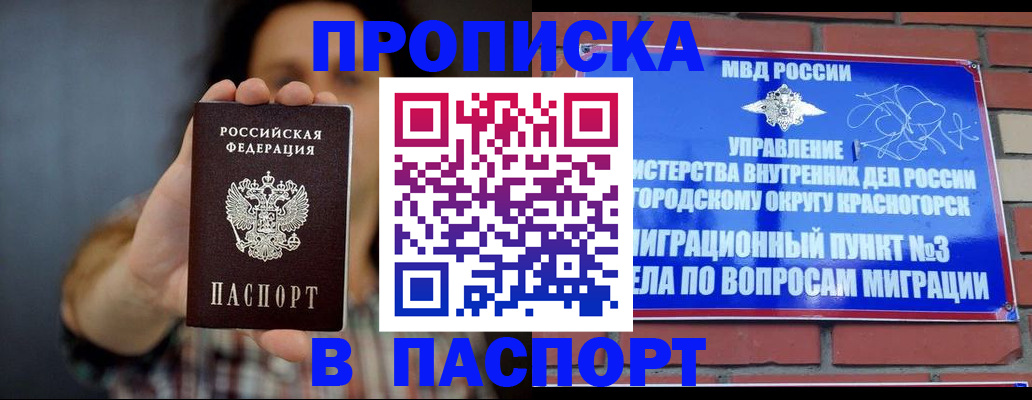 прописка в квартире в Ногинске